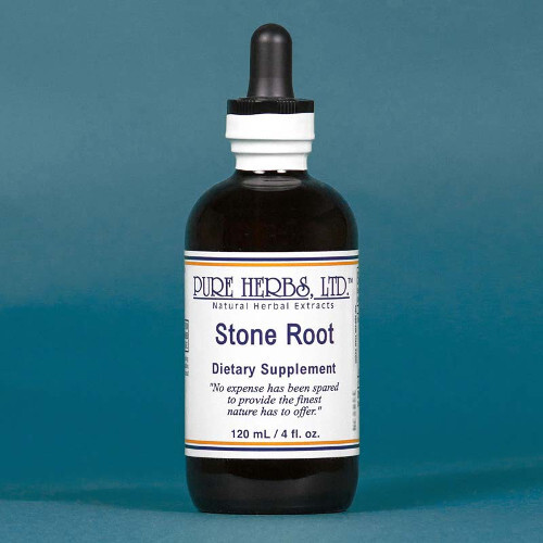 Pure Herbs: Stone Root – 4 oz.