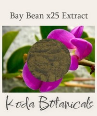 BAY BEAN 25:1 EXTRACT POWDER 20g Canavalia maritima **x25 Stronger Than Herb**