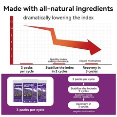 WOTIHA 60 Count Premium Lavender Flower Tea Bags – 100% Natural Herbal Tea, Targ
