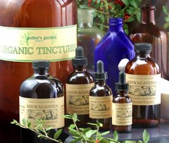 ASHWAGANDHA ROOT Extract Adaptogen Balance Weightloss Organic Folk Tincture ~