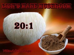Organic LION’S MANE MUSHROOM 20:1 EXTRACT powder 50g – 100g