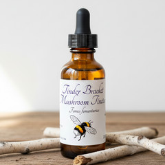 Tinder Bracket Mushroom Tincture, Wild Organic Fomes Excavatus Mushroom