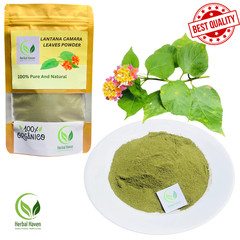 Natural Lantana Camara Leaves Powder 100% Organic Herb Shrub Verbena Herbal Tea