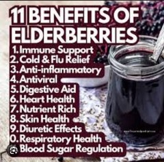 DIY Elderberry Syrup Kit.