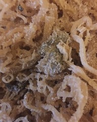 Sea Moss, Irish Moss Bulk unbranded 5 Lbs. Natural and fresh. Quality brand.