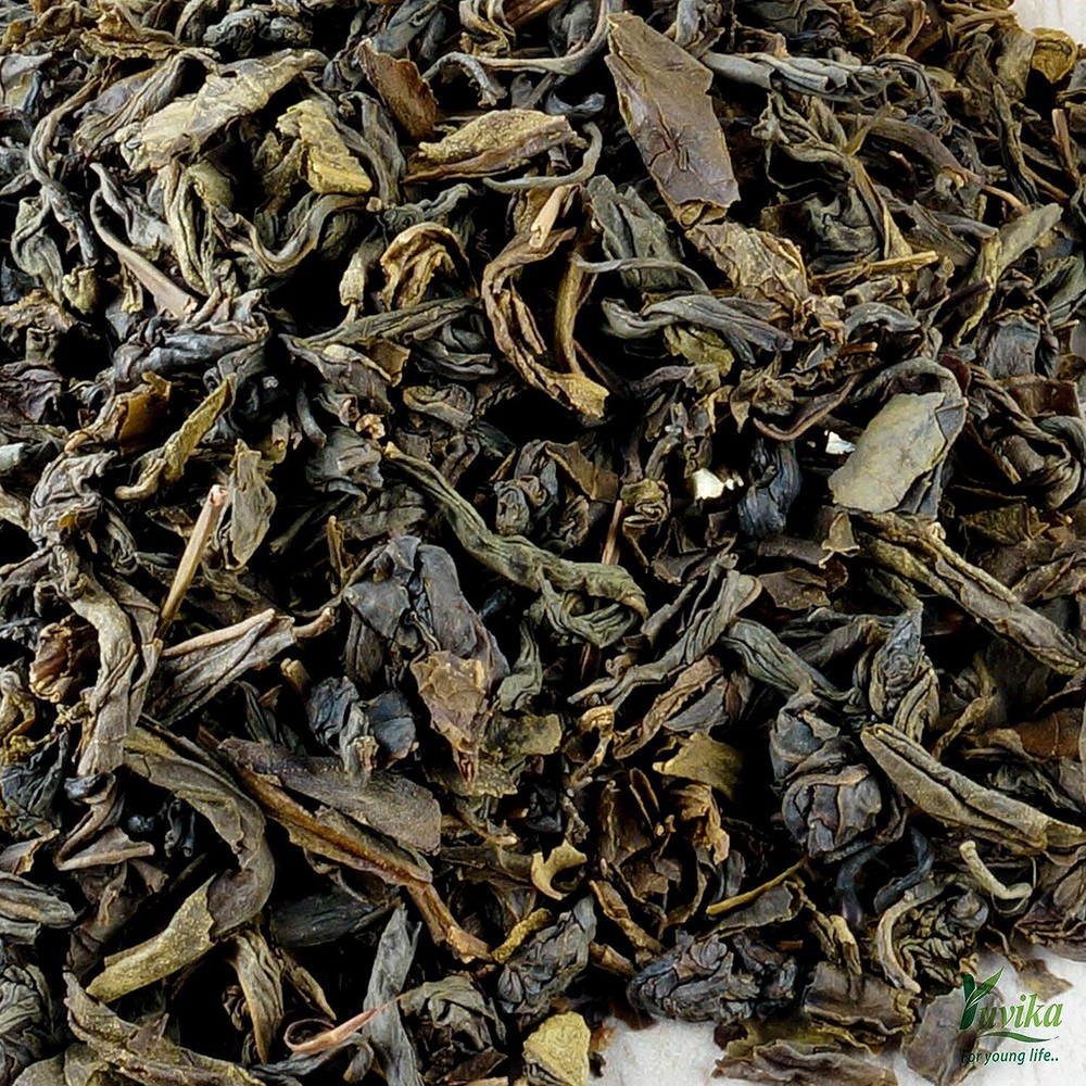 Green Tea Leaves – Camellia sinensis