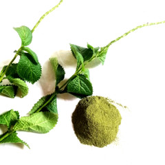 Blue Vervain Herb Leaves Powder Tea Porterweed stachytarpheta-jamaicensis 25g