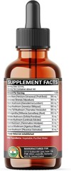 All-Natural 11-in-1 Mushroom Complex Drops – 60 Servings for Daily Wellness