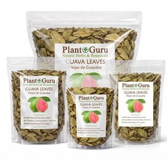 Dried Guava Leaves – Natural Psidium Guajava Tea Leaves, Hojas de Guayaba