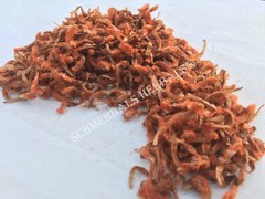 Klip Dagga, Leonotis nepetifolia, 1 oz All Natural Petals ~ Schmerbals Herbals
