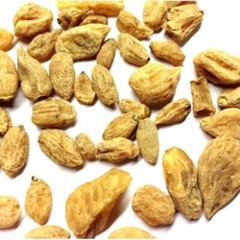Wholesale Lot Herbal Salam SALAB MISRI Salep Orchid Orchis Mascul FreeFast Ship