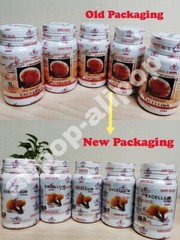 Gano Excel Excellium (Lingzhi Mycellium) 90 Capsules x 5 bottles