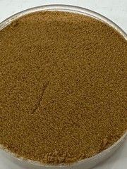 Cryptolepis Sanguinolenta 20:1 Extract Powder – 20gm – ORIGIN Central Africa