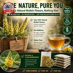 WOTIHA 65 Count Value Pack Premium Mullein Leaf Tea Bags – 100% Pure Natural Her