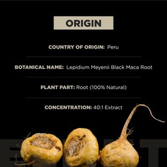 40x Strength Organic Black Maca Root & 15:1 Ashwagandha Capsules for Men – Pure