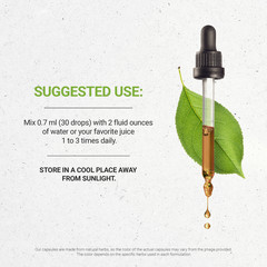 Secrets Of The Tribe Spearmint Tincture Alcohol-FREE