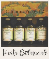 CALIFORNIA POPPY Liquid Extract PREMIUM 1:2 TINCTURE Eschscholzia californica