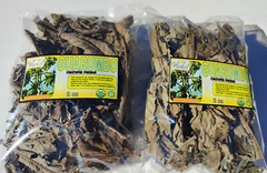 Guarumo Hierba Te, guarumbo, yagrumo, yarumo, Chancarro, Cecropia peltata !!