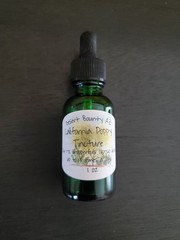 California Poppy Tincture – herbal infusion – extract – 1 oz – wildcrafted