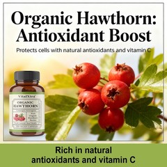 Organic Hawthorn Capsules Supports Heart Antioxidant Circulatory System Health