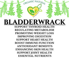 Bladderwrack Capsules 500mg | 60ct Seaweed Supplement | Natural Thyroid Support