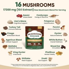 100% Fruiting Body Mushroom Powder – 90 Servings for Vitality & Clarity