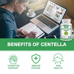 Organic Gotu Kola Leaf Centella Asiatica 1500mg Extract – Memory Immune Support