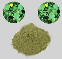 Thuthi Leaf Powder Indian Mallow Leaf Powder Abutilon indicum Leaf Powder