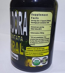Gobernadora Larrea tridentata Chaparral leaf Natural organic 100 Capsules