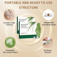 Plant-Based Botanical Patches with Mugwort & Ginger – 30 Patches Natural Herbal