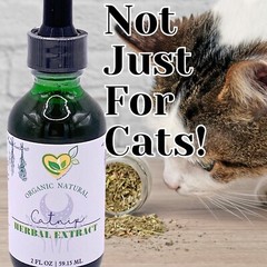 Catnip Tincture Organic Liquid Herbal Drops Natural Mood Sleep 2 OZ Bottle