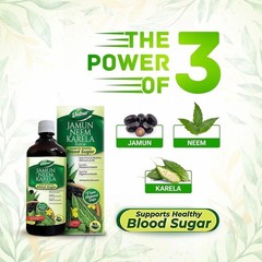Dabur Jamun Neem Karela Juice – 1L | Promotes Healthy Glucose Levels j105