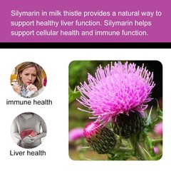 Immune System Health Supplements Liver Detox Antioxidant Support 30-120 Capsules