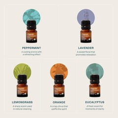 Cliganic Organic Essential Oils Set (Top 5 – The Classics) – 100% Pure Natural –