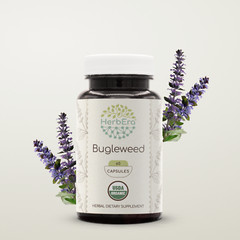 HerbEra Bugleweed 60/120 Capsules, 400 mg, Organic (Lycopus Virginicus)