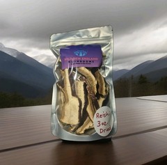 Reishi (Ganoderma Lucidum) 3 oz. Dried, Cut into Slices, Organic