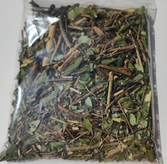 Moronel Planta de La Vida Te de moronel moronel organico hierba mexicana