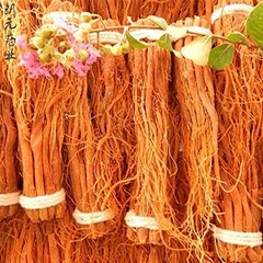Pure 6- Red Ginseng Rootlets – Dried Panax Ginseng Fiber 100g, No Additives