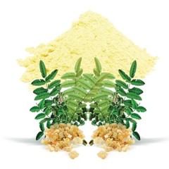 Boswellia Serrata Powder Extract 30%