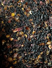 DIY Elderberry Syrup Kit.