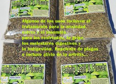 Catnip Leaf c/s (Nepeta cataria), Catnip herb/tea, Hierba del gato organica 3oz!