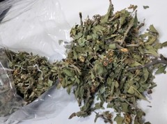 450 g Hawthorn Leaf, Your 100% Natural Wellness Companion Herb ورق الزعرور اوراق