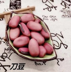 8CT Dao Dou Sword Jackbean Seed, Red Semen Canavaliae Seed. 8粒刀豆种子，2023年产新种子