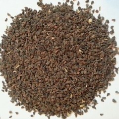 Natural Organic Harmala Seeds Wild Rue Natural Herb Pure 🥇بذور الحرمل – حرمل