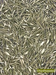 Dried Olive Leaves Whole Loose Leaf Arbequina Olive Herbal Tea 2oz Natural USA