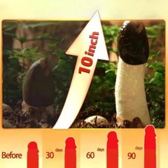 Haitian Gres Cacao Longer & Thicker growth ointment formulated to give fast resu