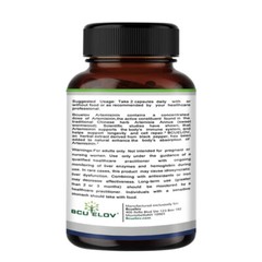 Artemisia Annua Extract Capsules Enhanced with BioPerine for Optimal Absorption
