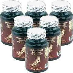 6 x American Ginseng Concentrate Extract 500 mg 60 Caps 6 Month Supply