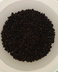 Wild American Elderberries Dried 4 oz