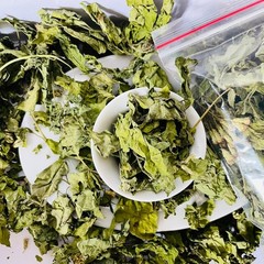 Calea Zacatechichi (Mexican Dream Herb) | Natural Dried Herbal Leaves 100g |Tea